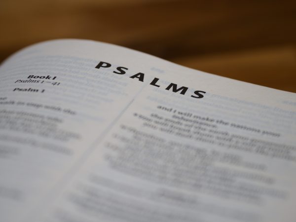 Psalm 32: 19-24, Refuge and Redemption Image